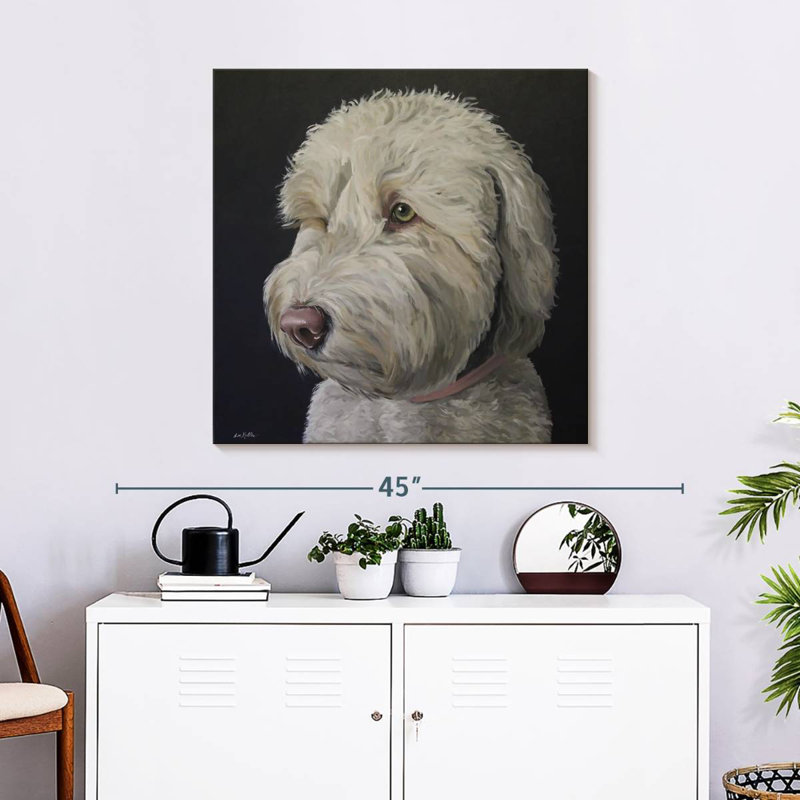 Crowle Labradoodle Goldendoodle, 30" H x 30" W