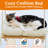 Cat Window Perch - Cat Hammock For Window - Solid Wood Seat & Strong Suction Cups - Cat Window Bed & Furniture For Cats Inside - Hanging Window Shelf For Small Medium Indoor Cats