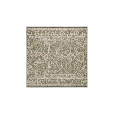Tapis brun soyeux et moelleux