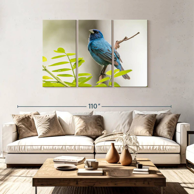 Bruant indigo Brampt, H 48 po x l 74 po