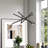 10 Light Black Medium Chandelier