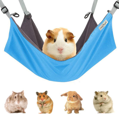 Hamac suspendu pour petit cochon d'Inde petit animal