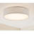 Raasch Flush Mount-930126327-839090130
