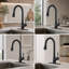 ROBOHIGH Kitchen Faucet Side Spray