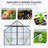 8X10ft Double Door Polycarbonate Greenhouse Raised Base And Anchor Aluminum Heavy Duty Walk-In Greenhouses For Outdoor Backyard In All Season,Black-125113372-125113374