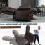 Dual Motor Infinite Position Up To 350 LBS Electric Medium Size Genuine Leather