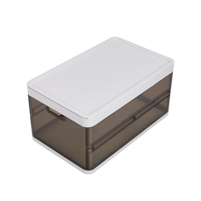 Rebrilliant Plastic Storage Tub & Tote