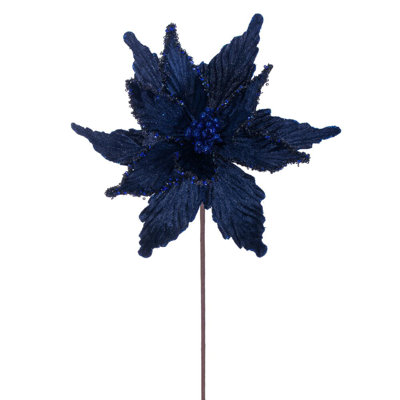 Tiges de poinsettia Cliffo