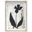 Single Orchid Print by Oliver Gal-330092982-475666956