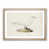 Oak Framed selected