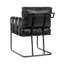 Strapling Leather Dining Chair-2063148779