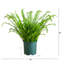 UV Resistant Artificial Boston Fern Plant With Real Touch Leaves (Indoor/Outdoor)-583265191
