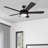 Bolivar 52" Ceiling Fan with LED Light-1670414282