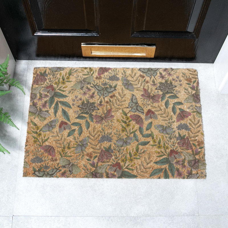 Honaye Non-Slip Indoor Doormat