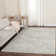 Overholt Performance Oriental Rug