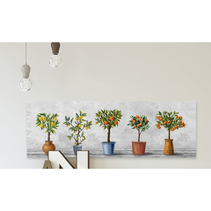 « photo lot de plantes »-impression sur toile tendue, H 15 po x l 45 po x P 1,5 po