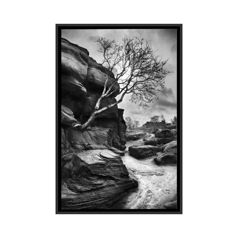 « outcrop », reproduction de photo sur toile, H 26 po x l 18 po x P 1,5 po, Toile avec cadre noir, Pas de tapis
