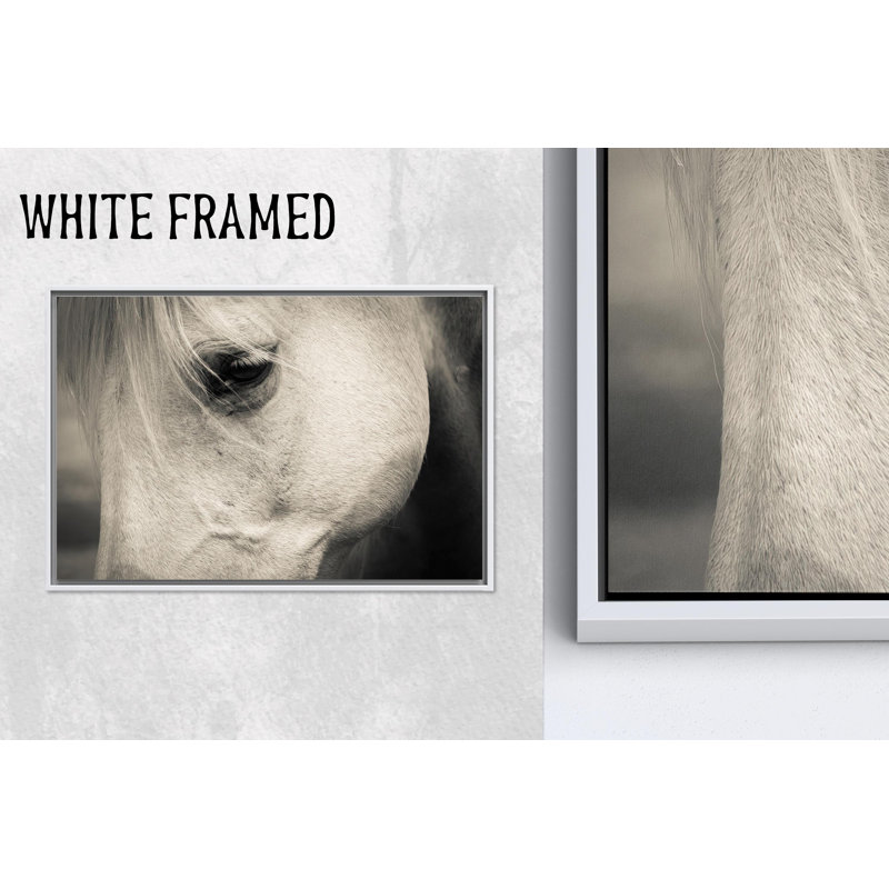 Impression sur toile de cheval blanc: art mural animal élégant pour les amoureux des chevaux, 1P WhiteFramedCanves
