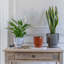 Aries Glazed Handle Planter-809274184