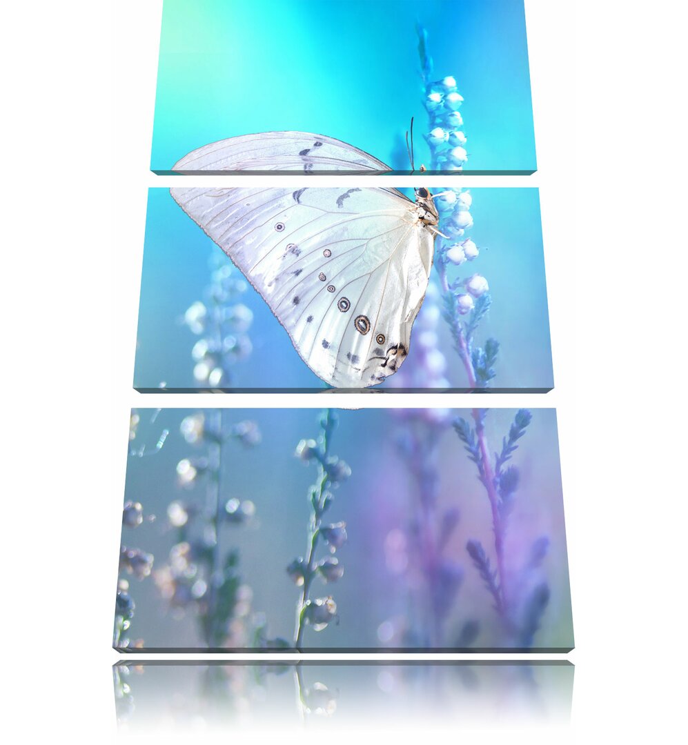 3-tlg. Leinwandbilder-Set Weißer Schmetterling auf Blütenknospen, Fotodruck