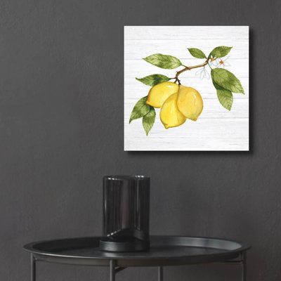  «Citrus Garden 1 Shiplap» par Kathleen Parr, art mural en verre acrylique, 12 po x 12 po