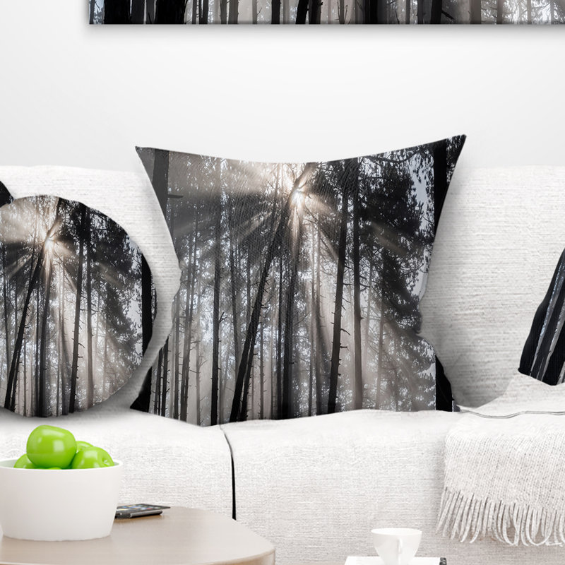 Coussin décoratif imprimé de rayons de soleil à travers la forêt blanche noire, 18 po x 18 po