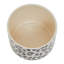 London Leo Stoneware Jar-1513114548