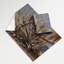 Tapisserie murale Southbuss-133634984