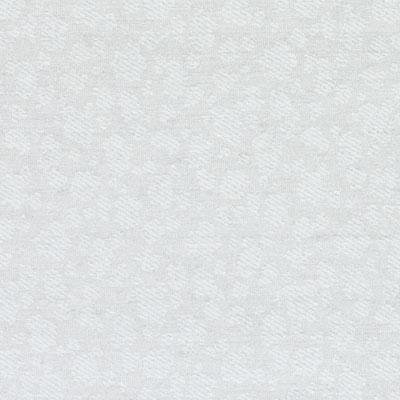 Eileen K. Boyd II Duralee Fabrics, Platinum