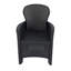 Scobey Garden Chair