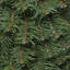 The Holiday Aisle® 4 Piece Evergreen Assortment with Decorative Base and Clear LED Lights