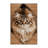 Washable Somali Cats Area Rug-874599763