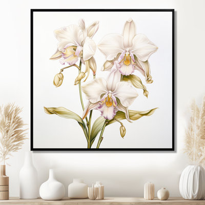 Illustration rétro d'une orchidée blanche - art mural orchidée