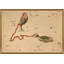 Pisces Print by Grand Archives-735700162-735700161