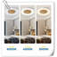 Ventilateurs de plafond RVB avec lumières, ventilateurs de plafond intelligents avec éclairage ambiant rétroéclairé et télécommande