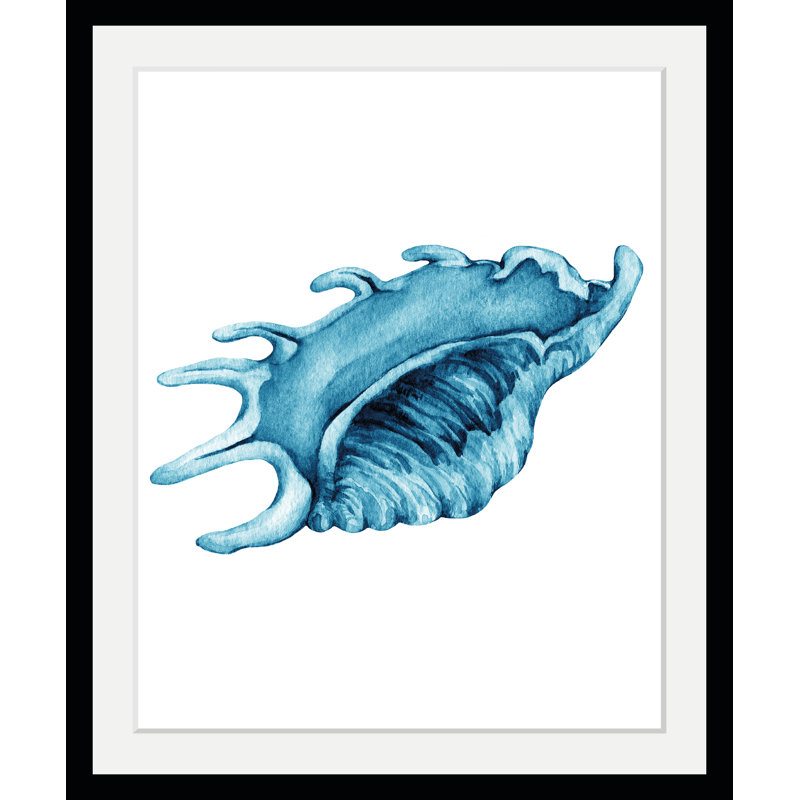 Shell - Single Picture Frame Print