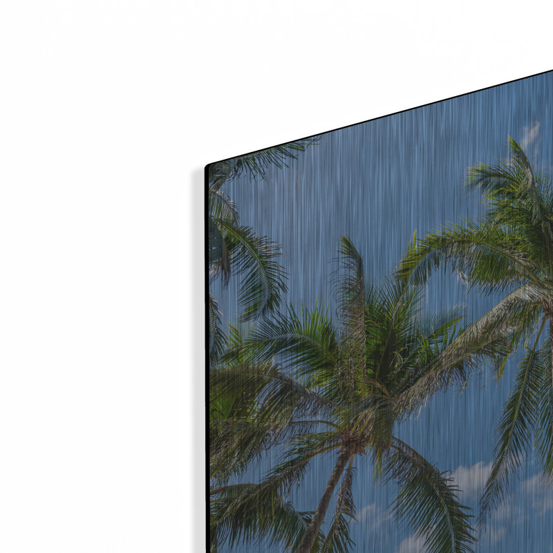 «Palawan Palm Trees I» par Richard Silver, art mural en métal, H 12 po x l 16 po