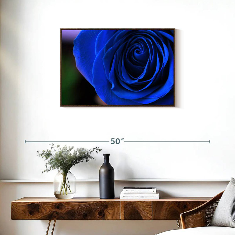 Bleu rose arbuste, Cadre flottant en noyer, 31 po x 21 po