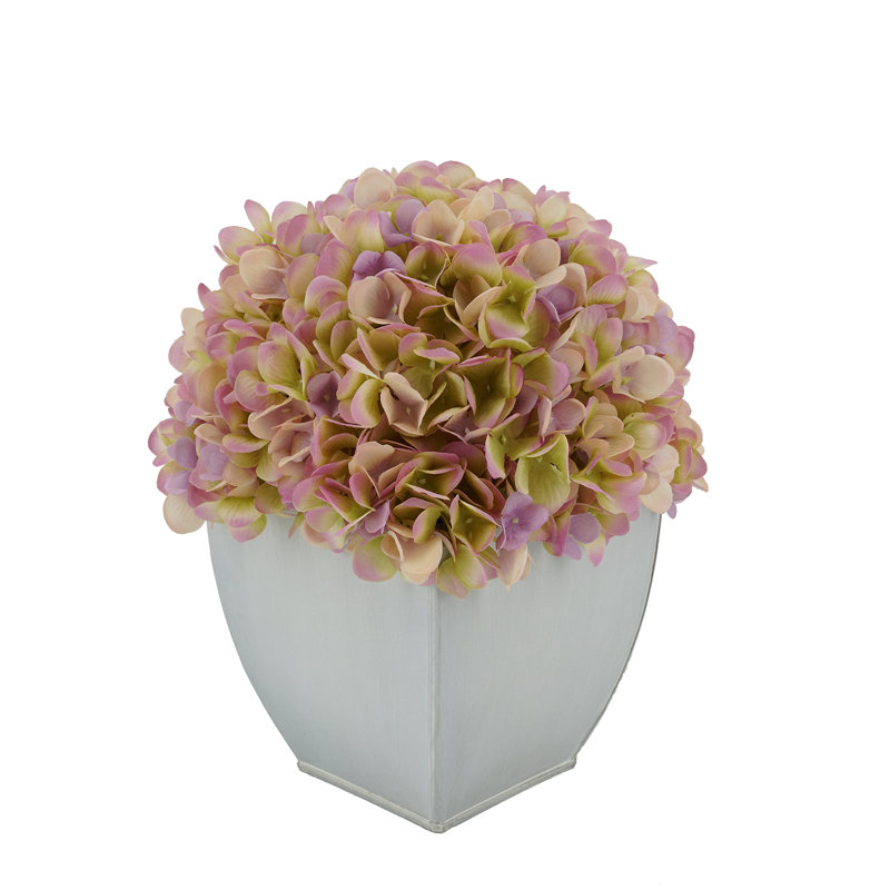 Arrangements floraux d'hortensias en pot, Lilas