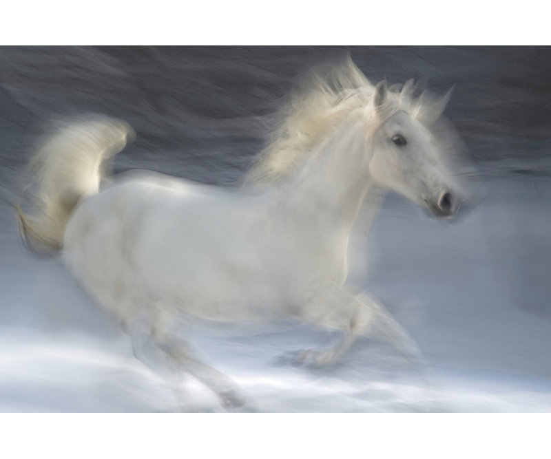 Wrapped Canvas Print, 50.8 cm H x 76.2 cm W