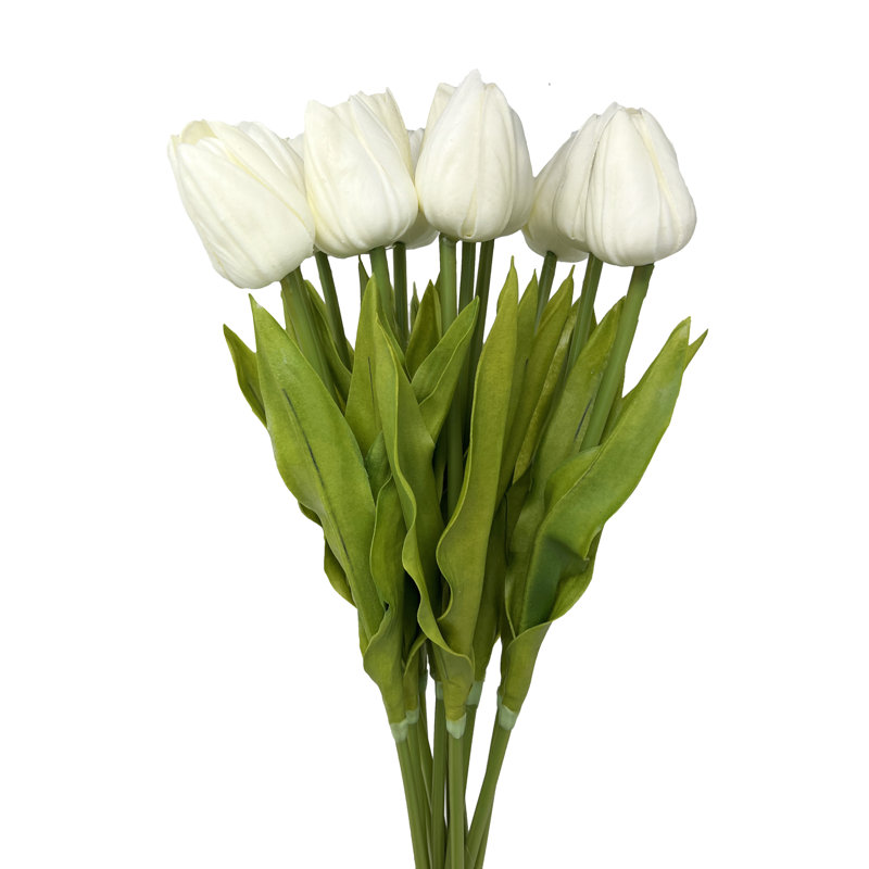 Tiges de tulipe Real Touch, Blanc