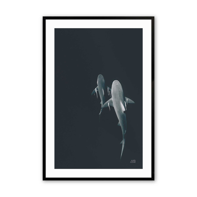 Serene Shark Shadows Print, Black, 25" H x 19" W