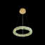 Lustre à DEL 22 po MIGDALIA-1147488385