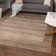 Hermina Indoor Rug