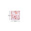 Glass Tabletop Candle Accessories
