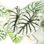 120cm Faux Plant-101685083