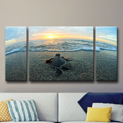 " Turtle " 3 - Pieces