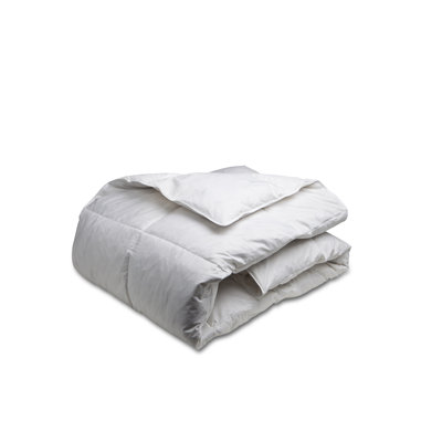 Down Comforter