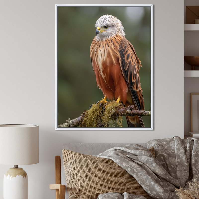 Portrait of Eagle Nature, photographie I - reproduction, H 40 po x l 30 po x P 1,5 po, Cadre flottant blanc
