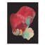 La Petite II Print by FORM Design Studio-26763429-26763430